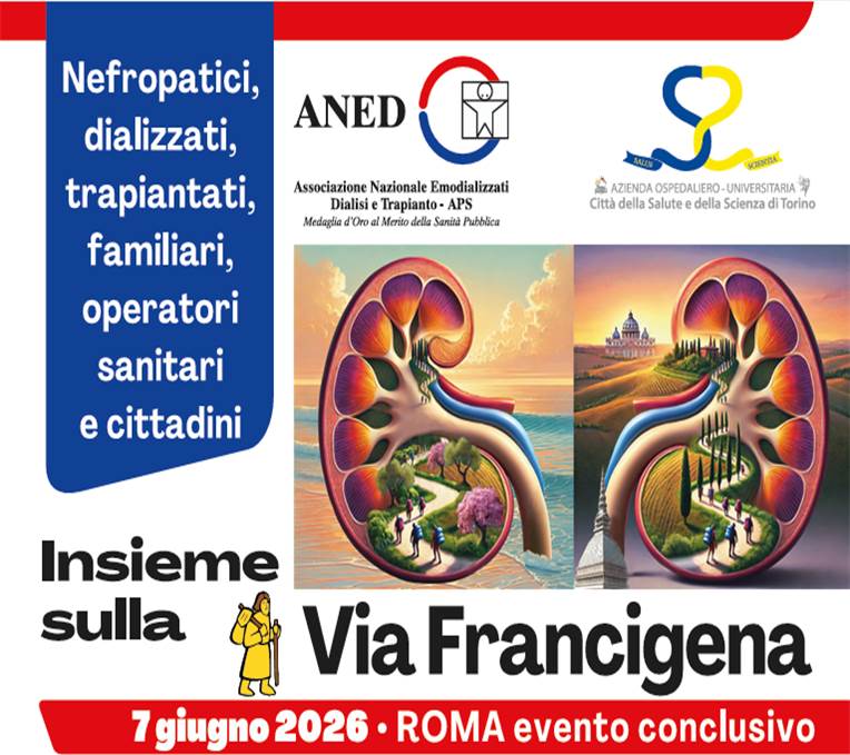 ANED via Francigena-11